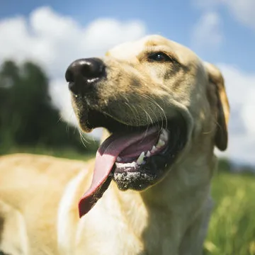 钱庄彩票 App 界面